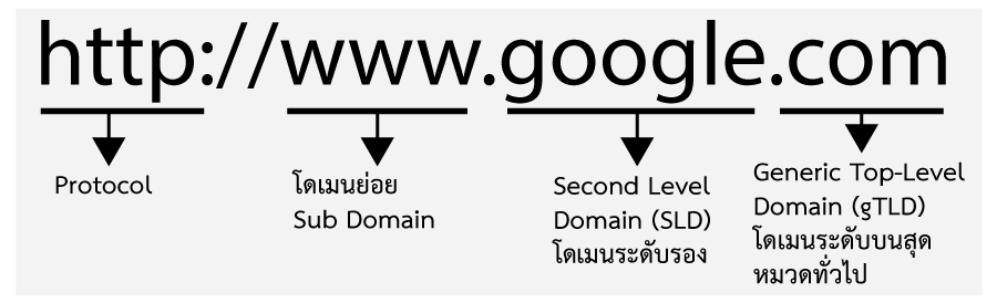 ความ หมาย ของ โดเมน ฟังก์ชัน