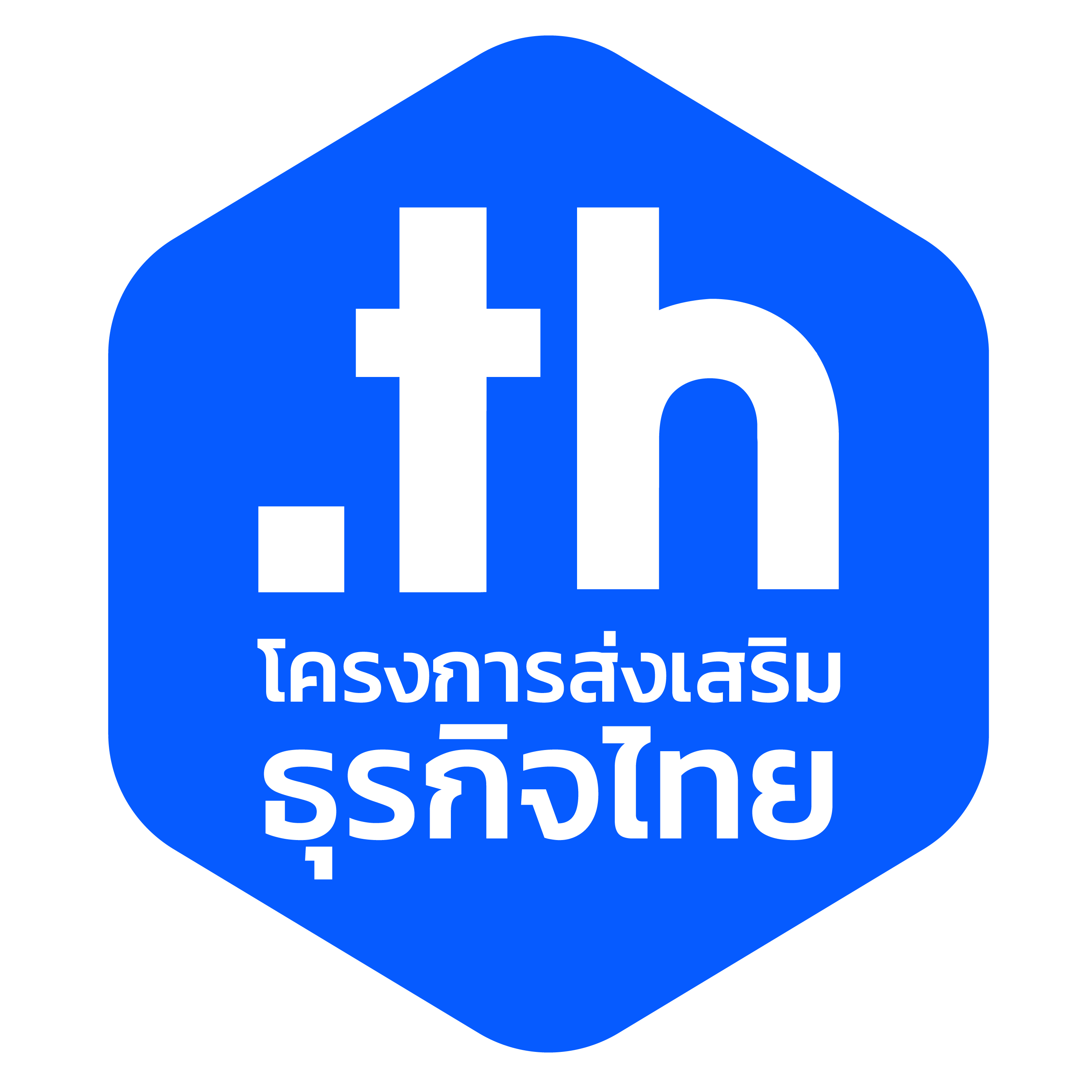 โครงการของมูลนิธิ